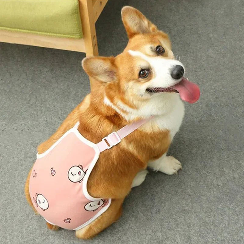 Culotte Physiologique Réglable pour Chienne – Lavable, Toutes Saisons