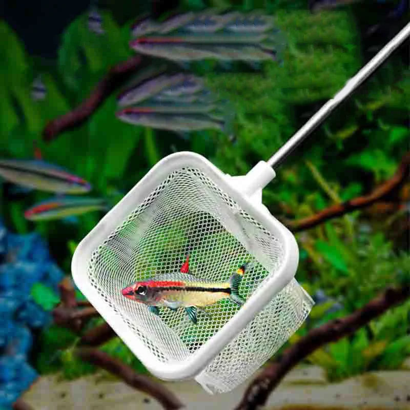 Épuisette pour Aquarium avec Manche Télescopique & Ventouse – Anti-Rouille, S / L