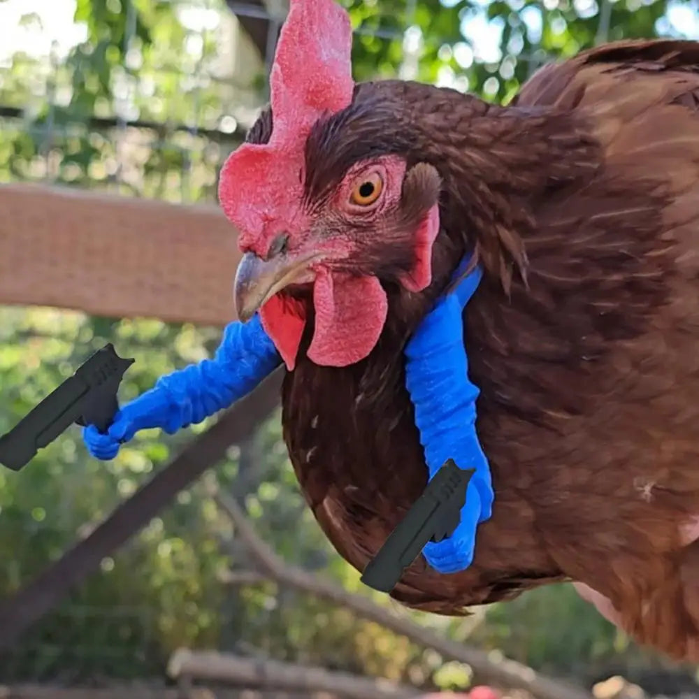 Bras de Poulet Humoristiques en PLA – Accessoire Volaille