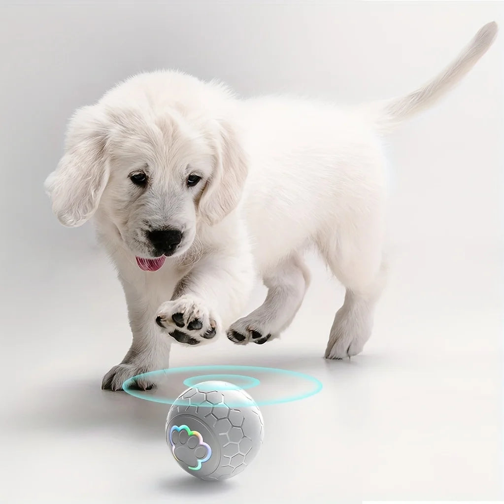 Balle Interactive Rechargeable pour Chien | Rebonds Automatiques & Connectée