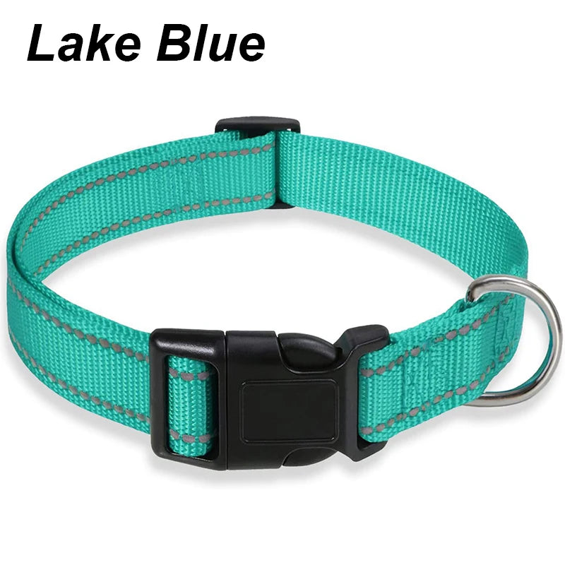 Collier Réfléchissant en Nylon pour Chien – Réglable, Visible de Nuit, 7 Couleurs, S à XL