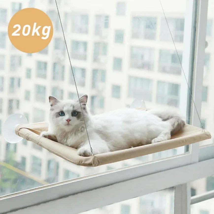 Hamac de fenêtre pour chat – Ventouses, tissu Oxford, jusquà 20 kg (35 × 55 cm)