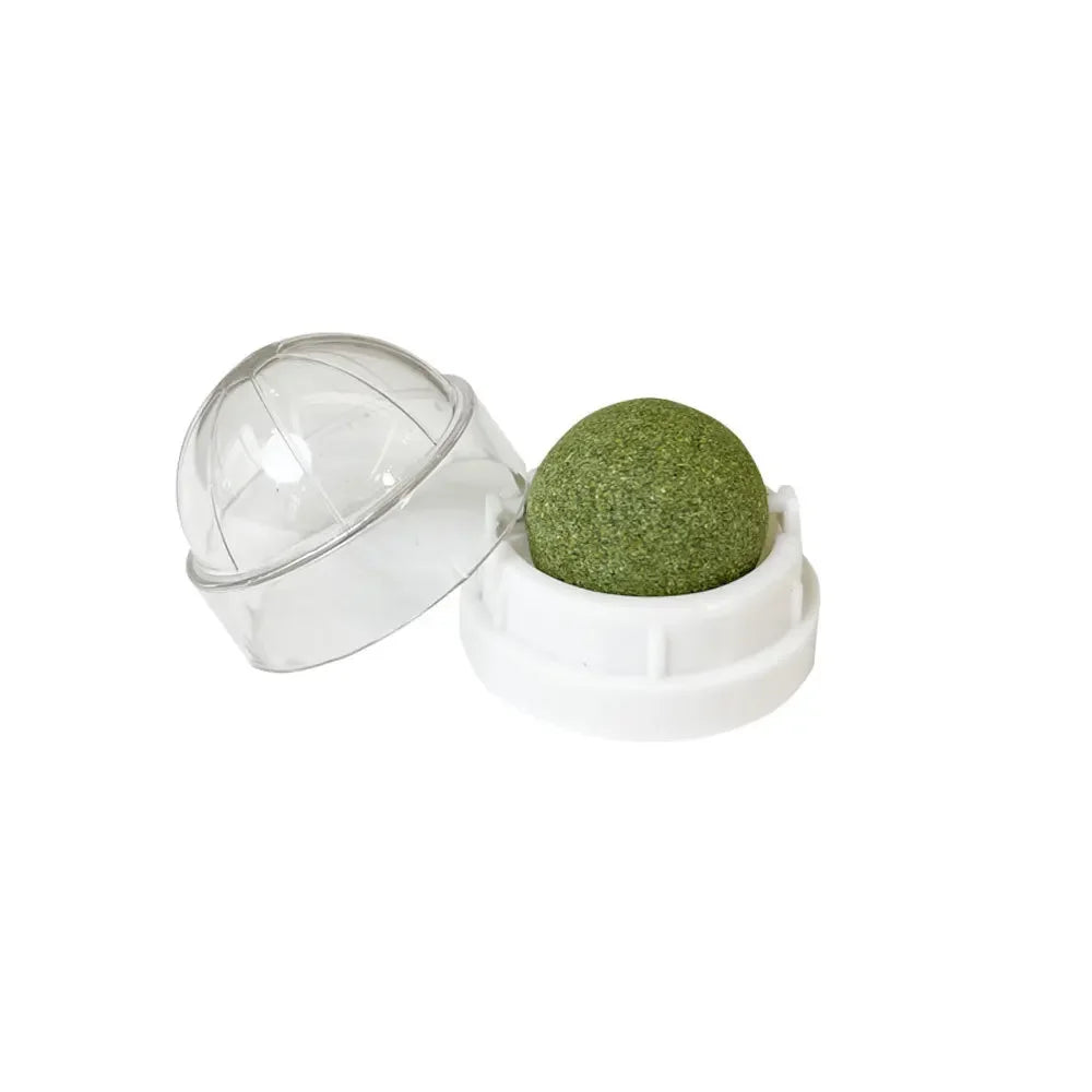 Balle Griffoir Murale au Catnip pour Chat — Stimulante & Digestive
