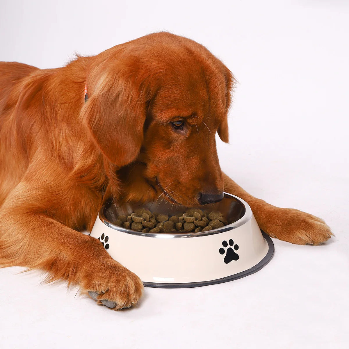 Gamelle en acier inoxydable pour chien et chat – Antidérapante, empilable