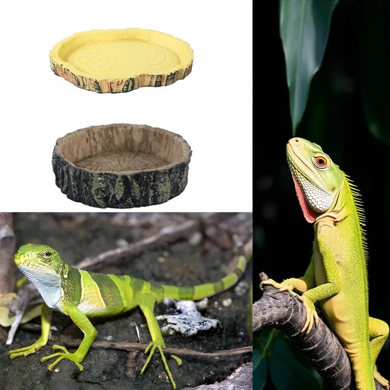 Bol en Résine pour Reptiles – Imitation Bois ou Roche, Terrarium
