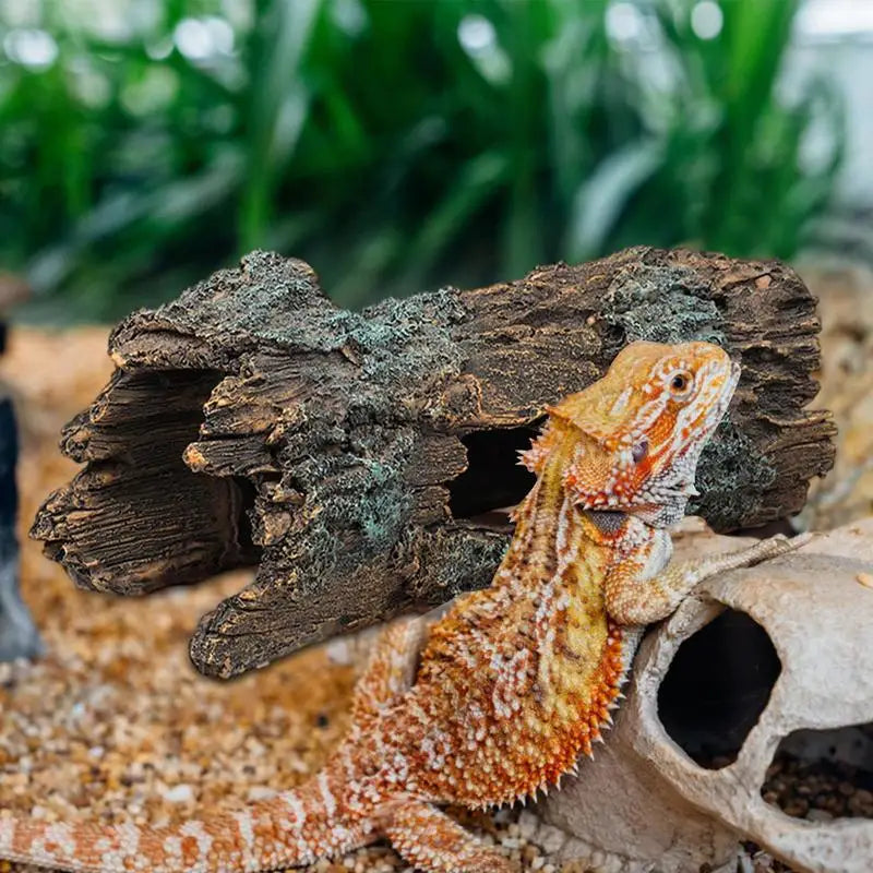 Grotte Cachette pour Reptiles – Décor Naturel pour Terrarium