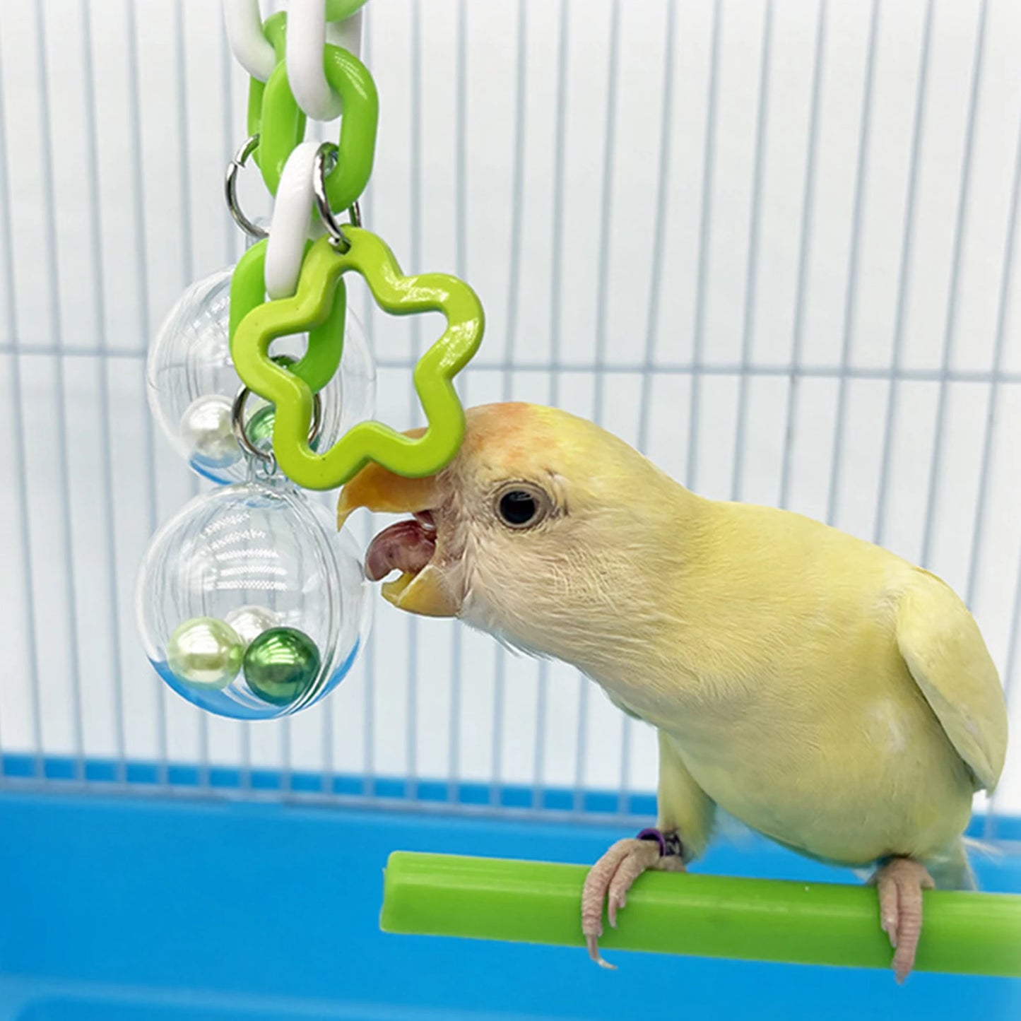 Jouet Suspendu à Perles pour Perroquet & Petit Oiseau – À Mordre & Grimper