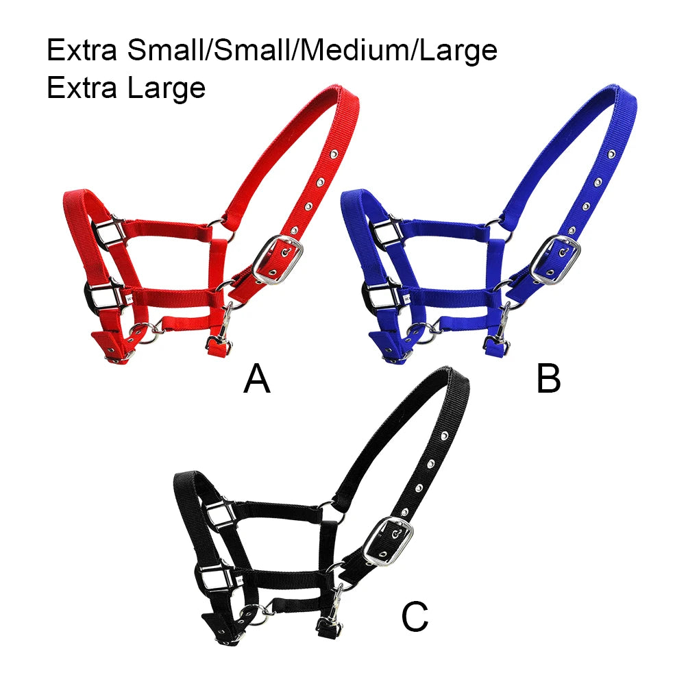 Licol Réglable Anti-Rouille pour Poney & Cheval – Alliage de Zinc, 3 Couleurs, XS à XL