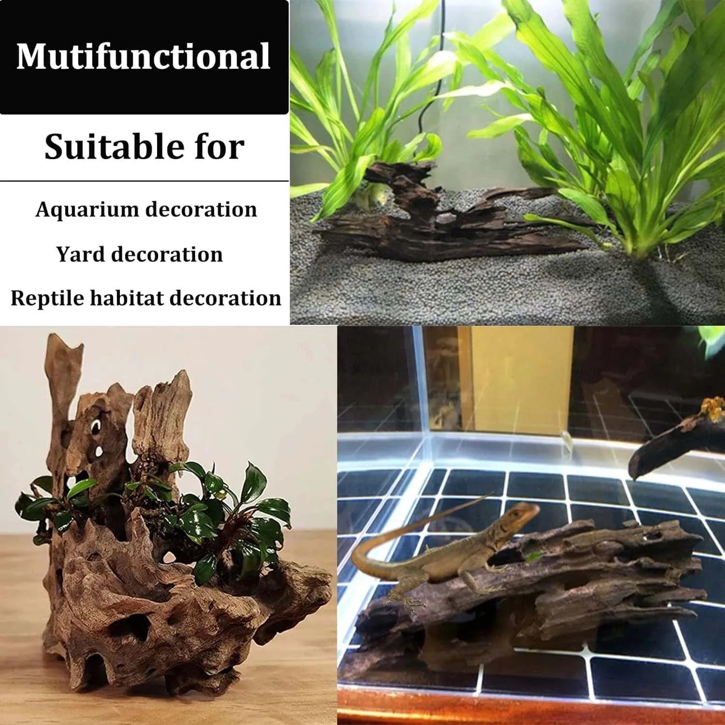 Bois Flotté Naturel Poreux pour Aquarium & Terrarium – Décoration Crevettes & Crabes, 10-20 cm