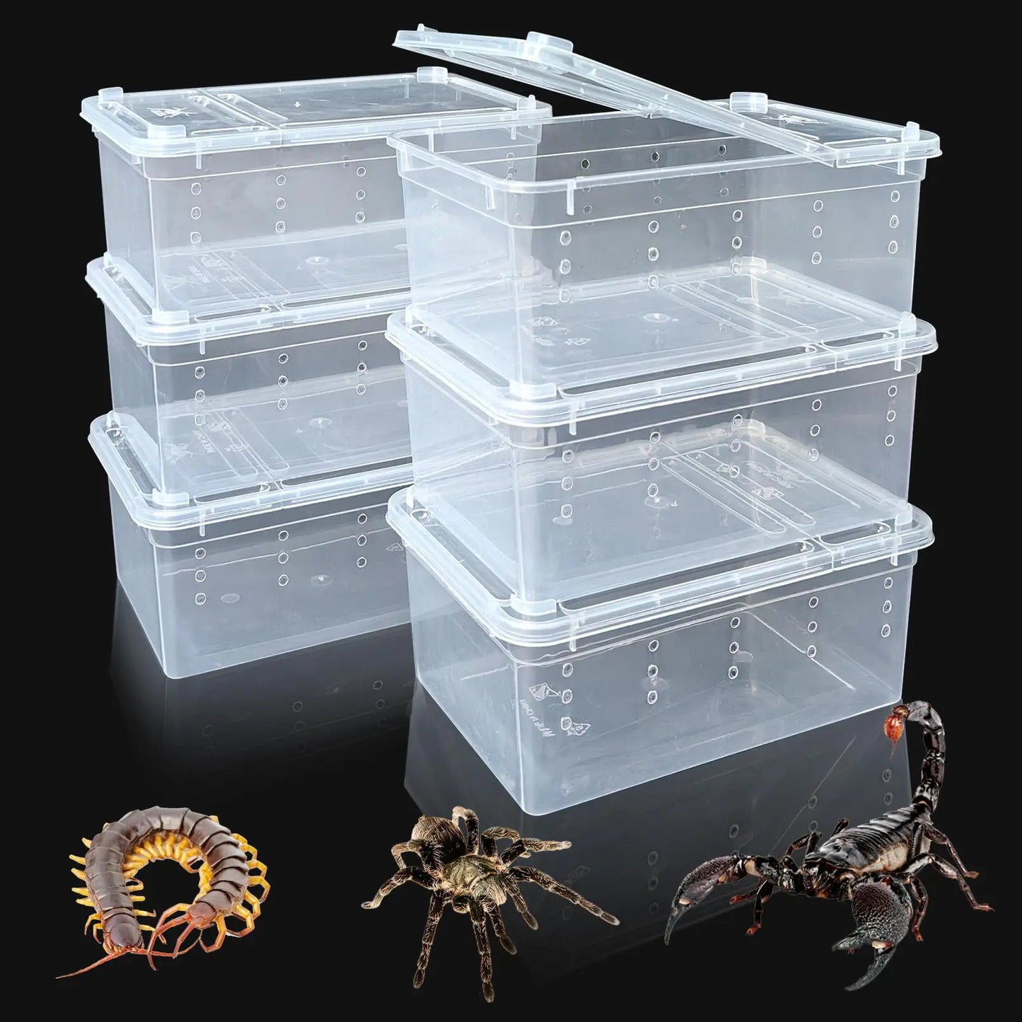 Terrarium en plastique pour Reptile, récipient de transport pour lézards, geckos, serpents, araignées, scorpions, coléoptères, mille-pattes, 6 pièces