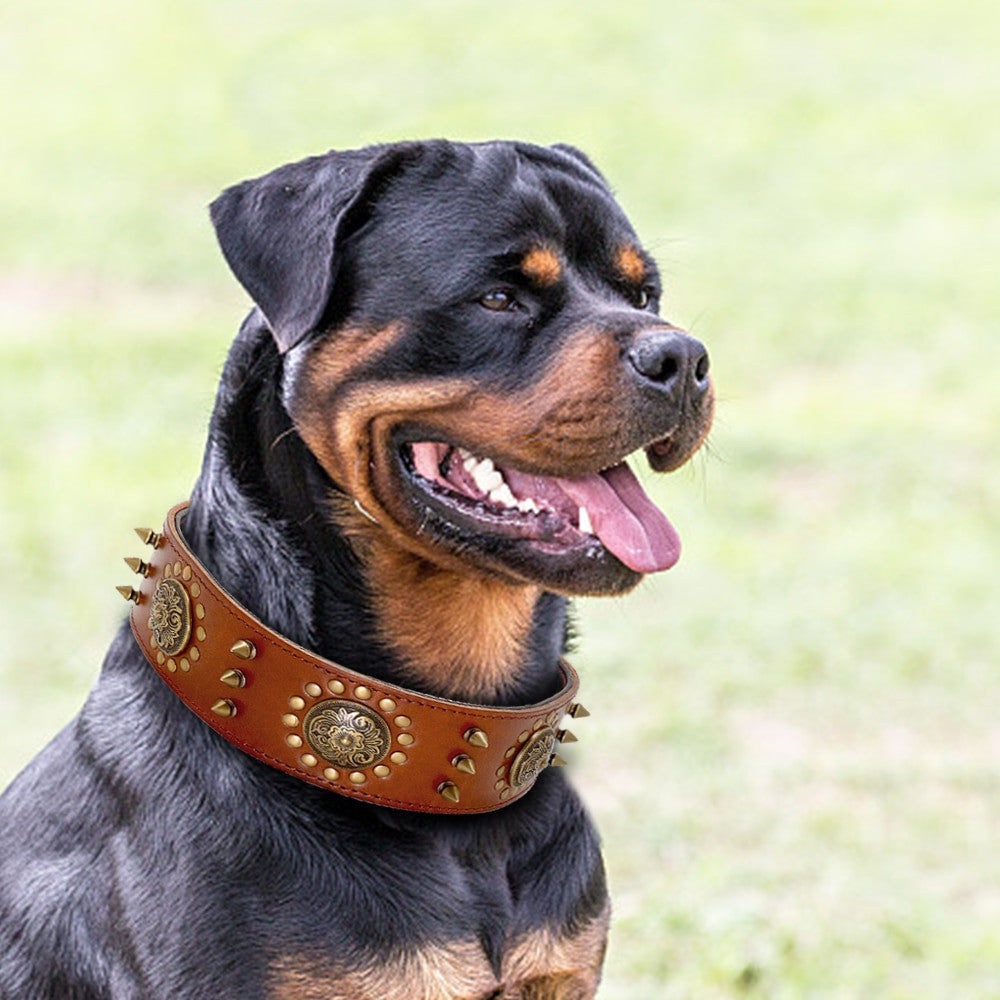 Collier en Cuir à Pointes pour Chien – Réglable, Noir & Marron