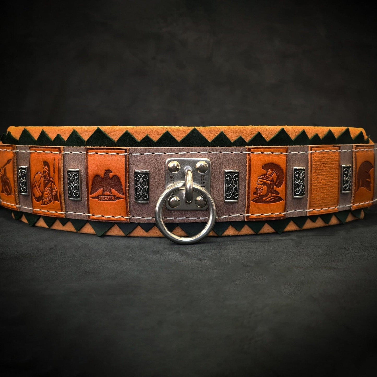 De "SPQR" hondenhalsband
